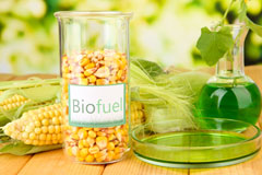 Holmsgarth biofuel availability